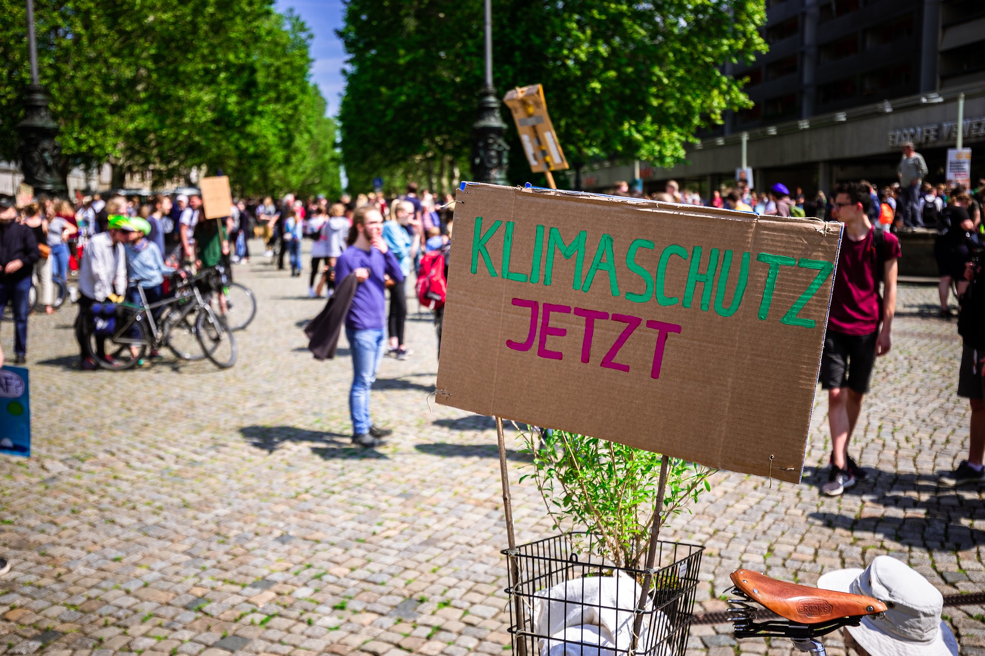 Berlin als Vorreiter im Klimaschutz